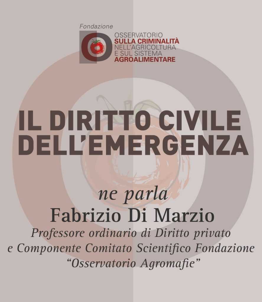 Fabrizio Di Marzio, Il diritto civile dell’emergenza