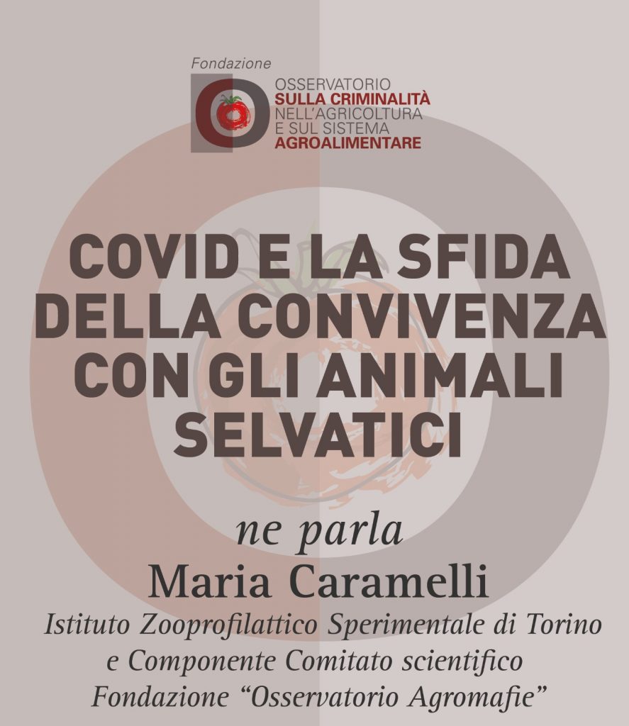 Maria Caramelli, Covid e la sfida della convivenza con gli animali selvatici