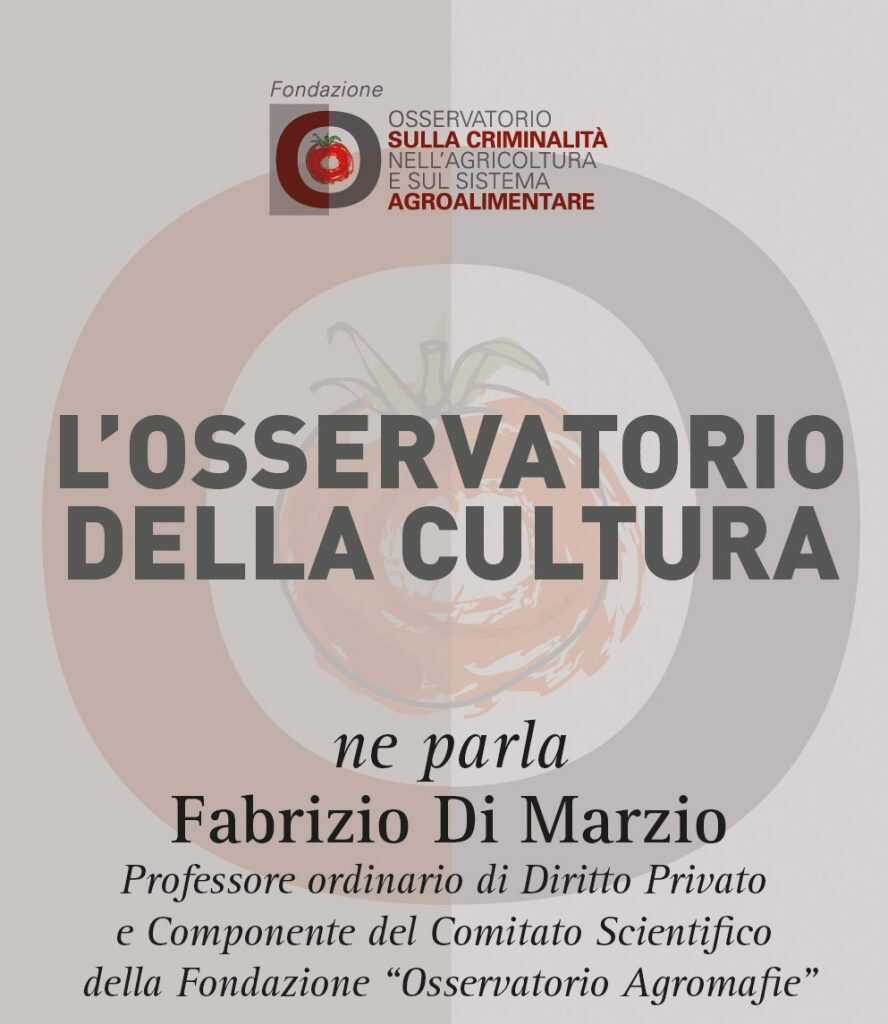 Fabrizio Di Marzio, L’osservatorio della cultura