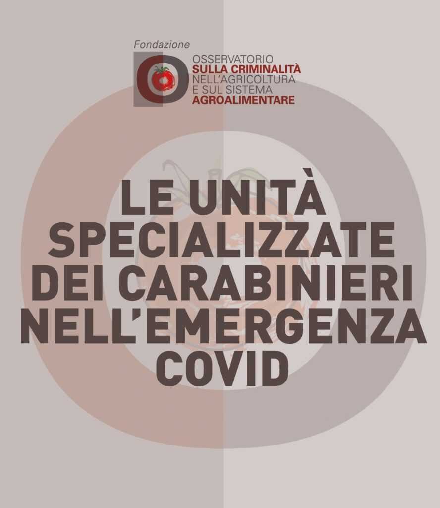 Le unità specializzate dei Carabinieri nell’emergenza COVID