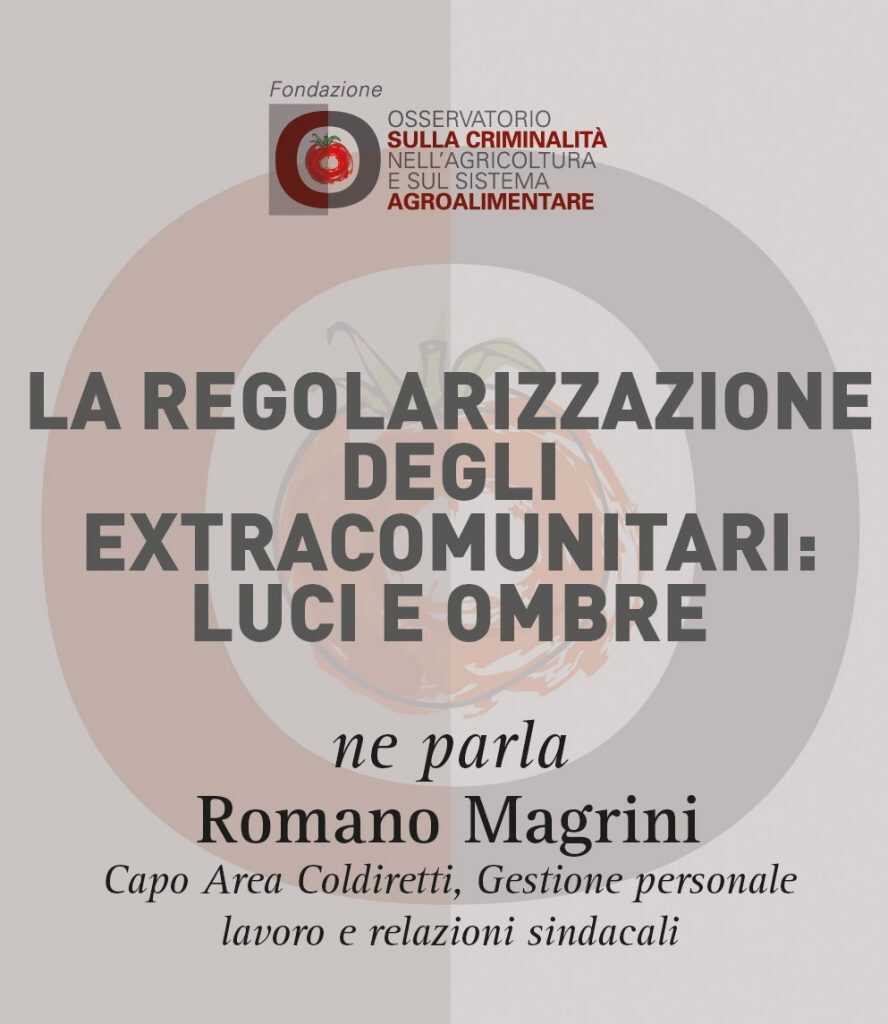 Romano Magrini, La regolarizzazione degli extracomunitari: luci e ombre